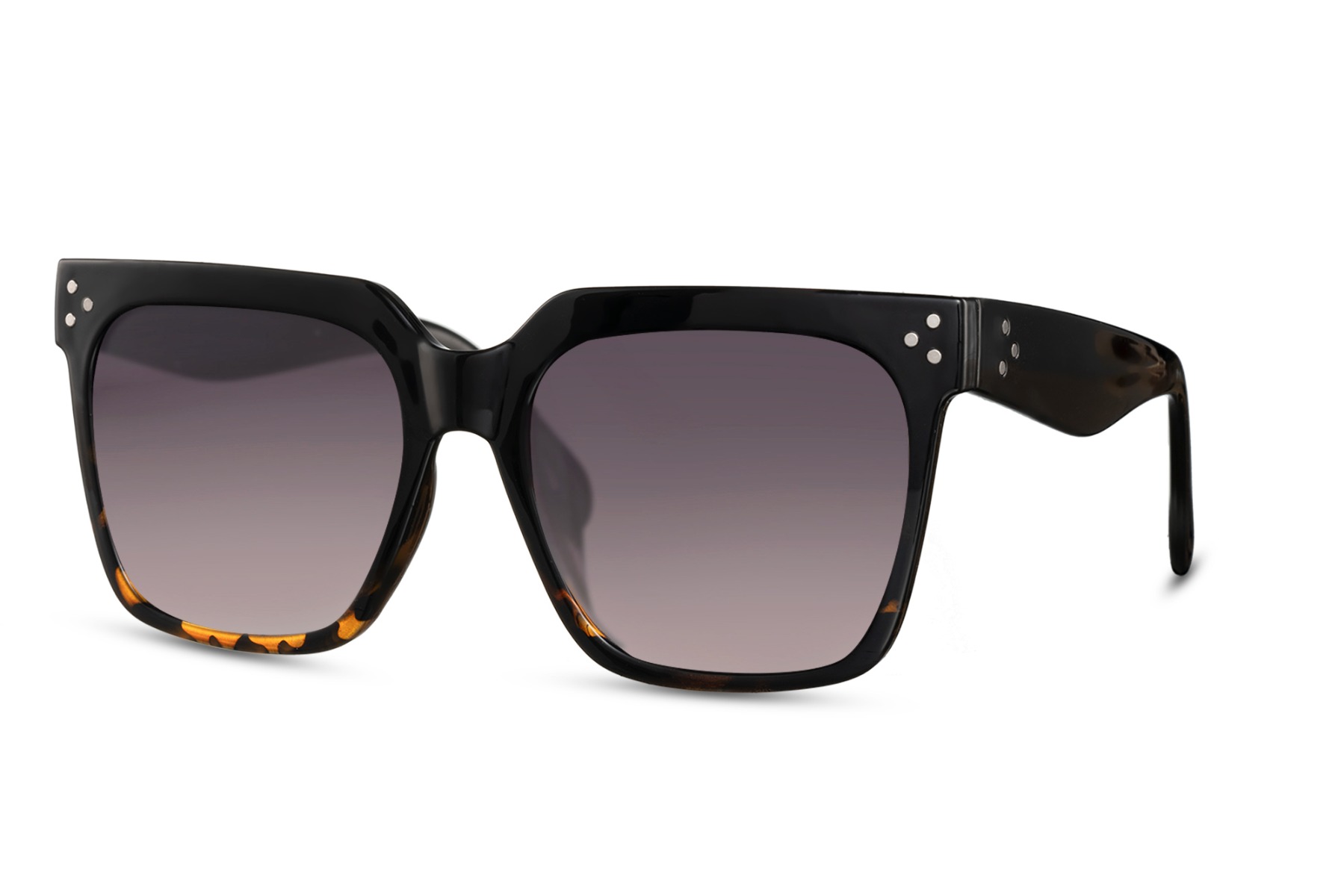 LAGUNA - black turtle - Imagen 2